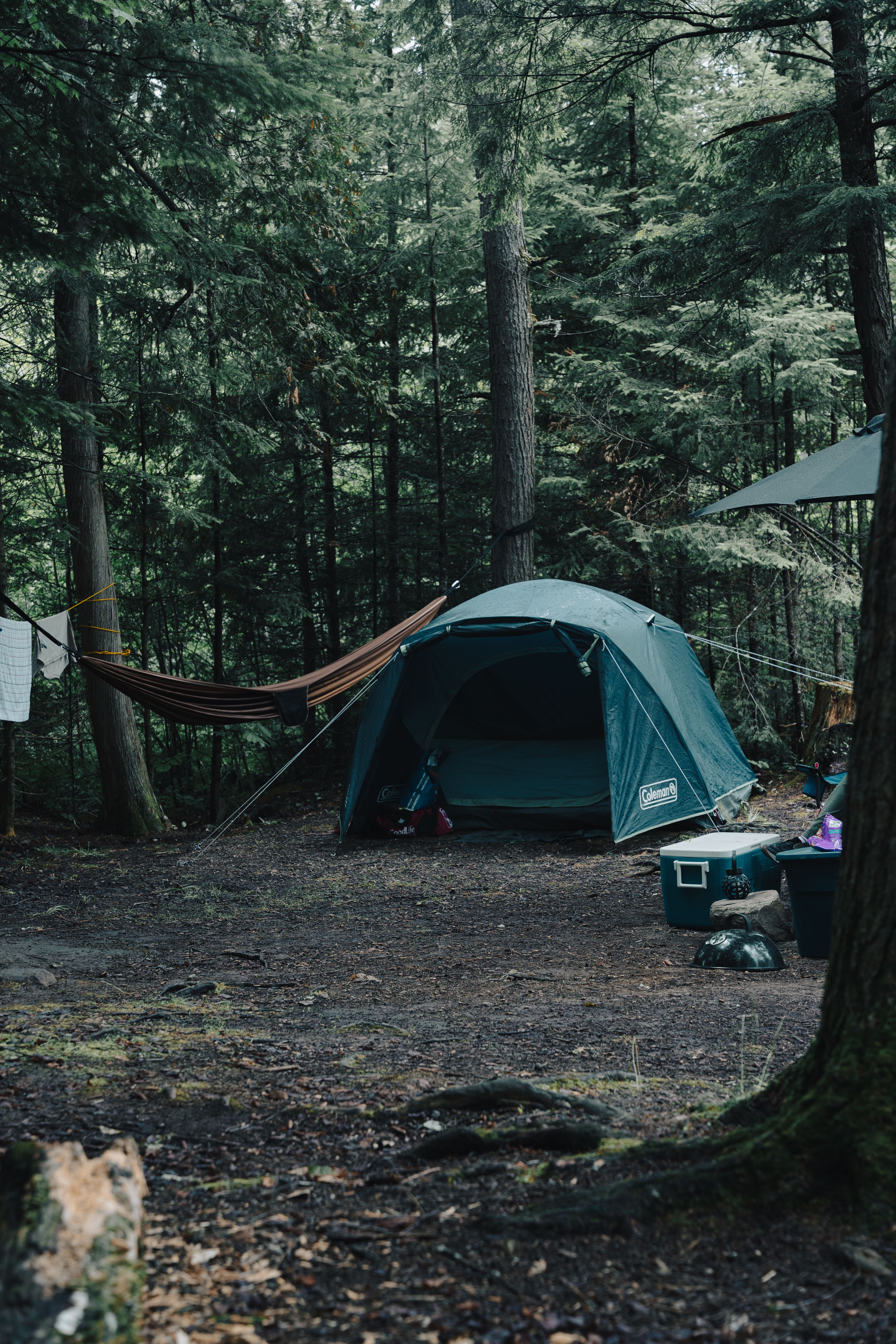 Inside the North County Outfitters shop